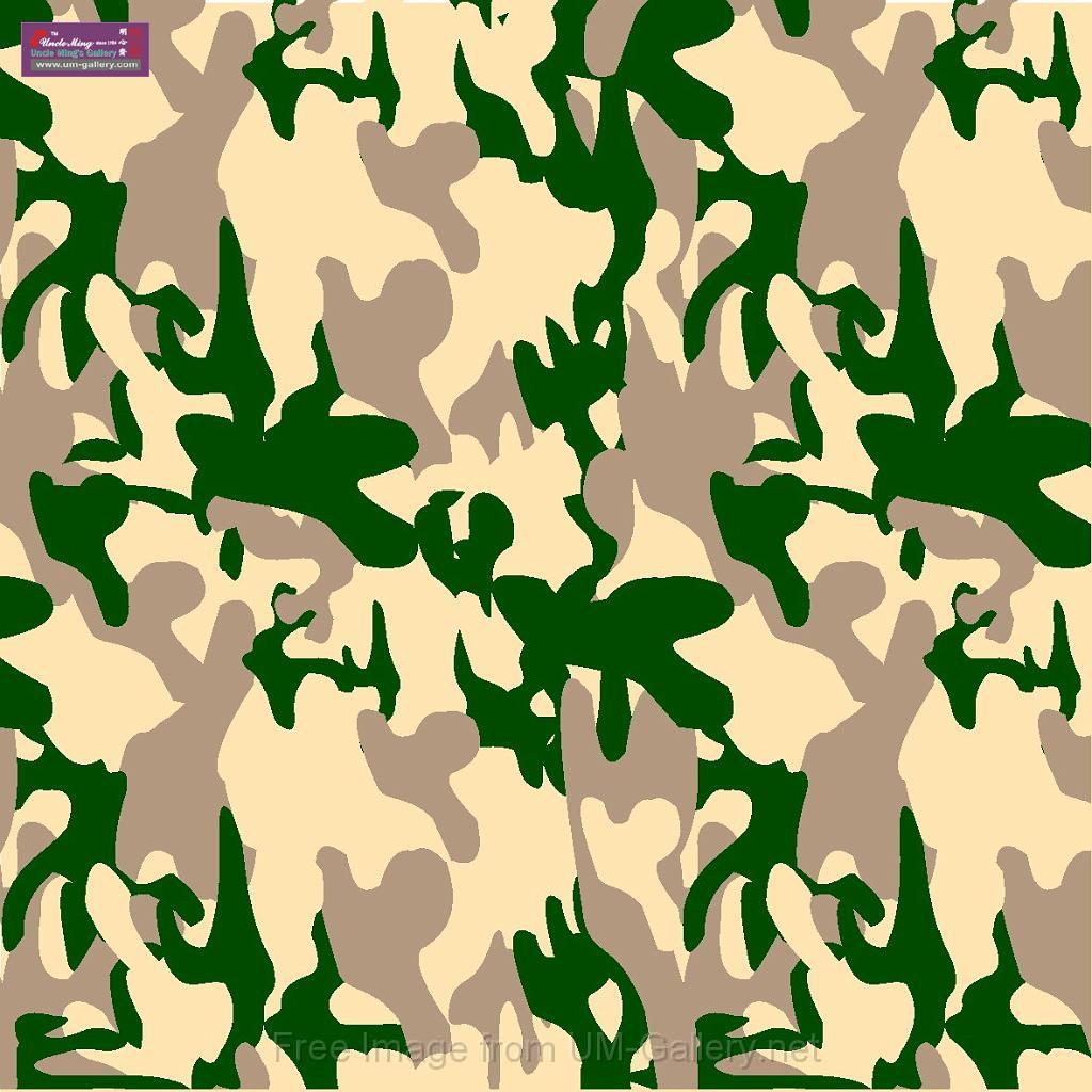 camouflage_pattern03.jpg