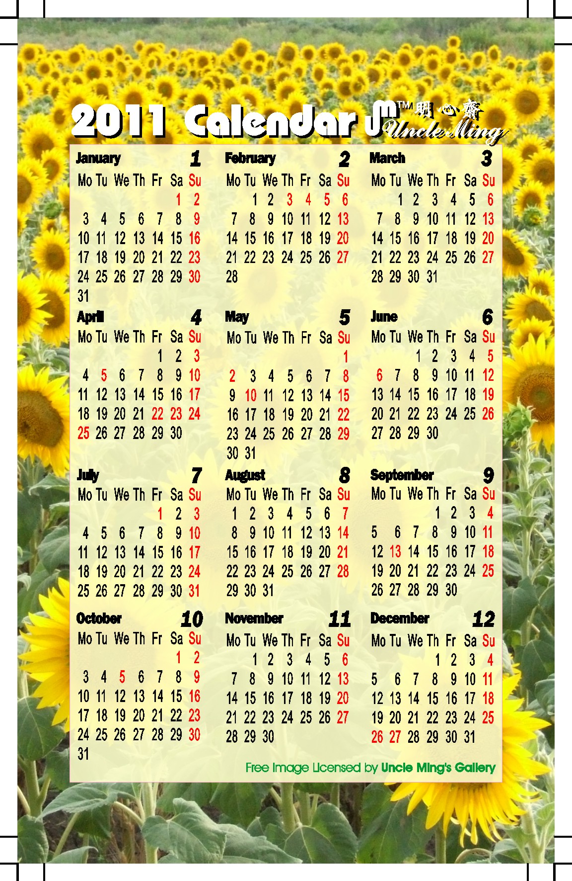 2011 calendar summer