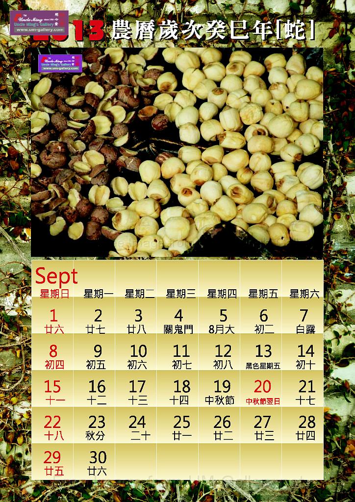 2013calendar-a4portrait1_out-9.jpg