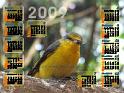 09calendar_style03_bird2_op
