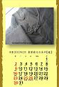 2012calendar_dec-a4-chi