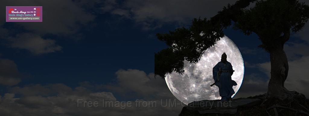 20140820moon-walker-3x8ft.jpg