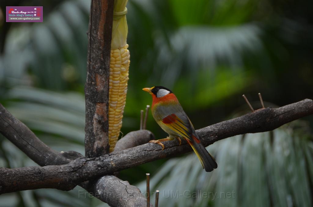 20150426jw-hk-park_DSC_0562.JPG