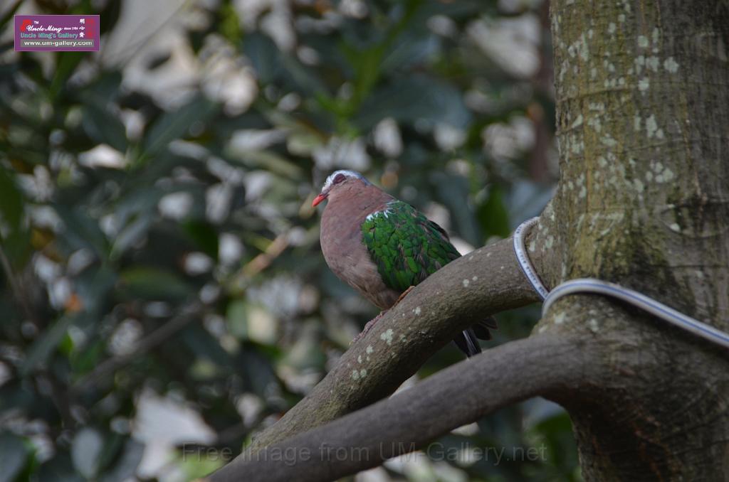 20150426jw-hk-park_DSC_0611.JPG