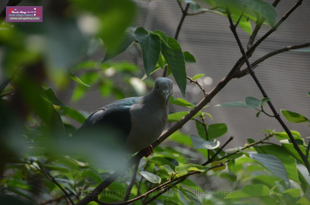 20150426jw-hk-park_DSC_0633.JPG