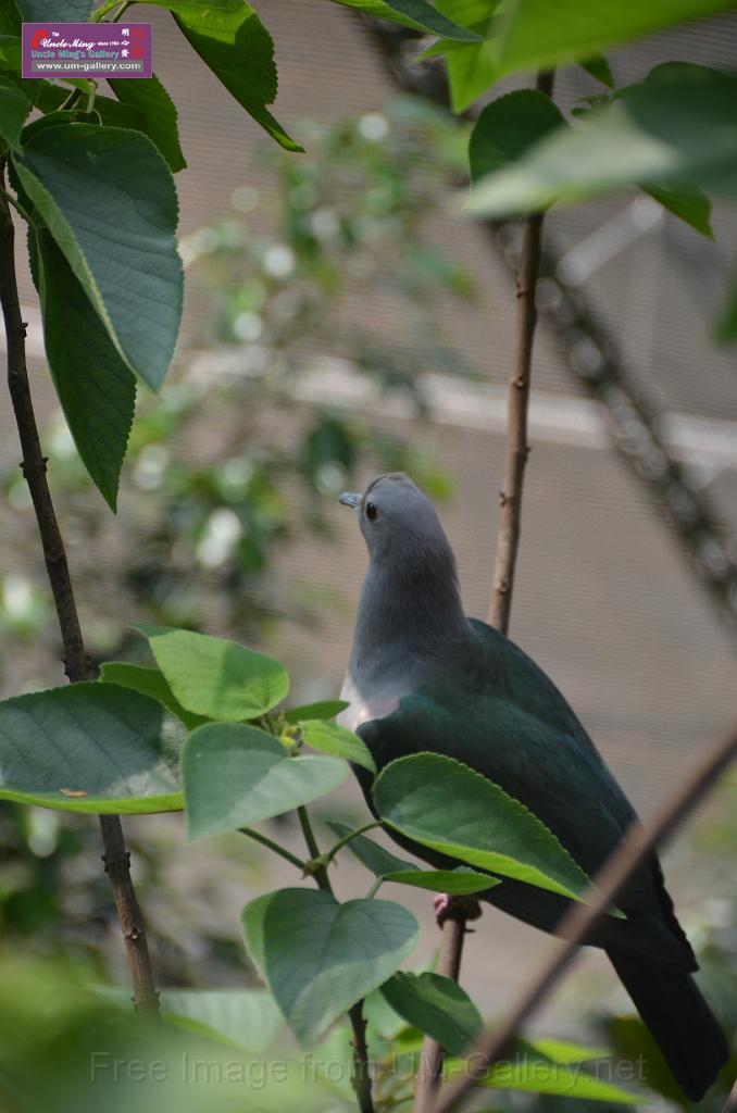 20150426jw-hk-park_DSC_0636.JPG