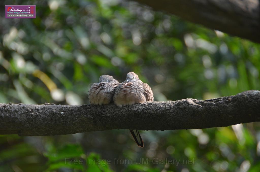 20150426jw-hk-park_DSC_0648.JPG