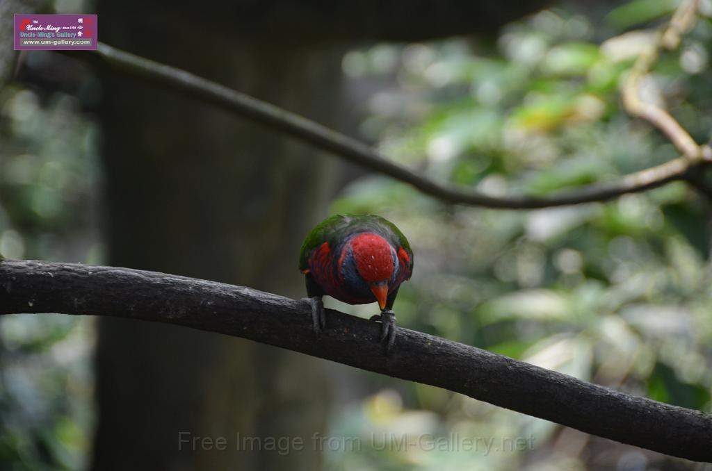 20150426jw-hk-park_DSC_0739.JPG