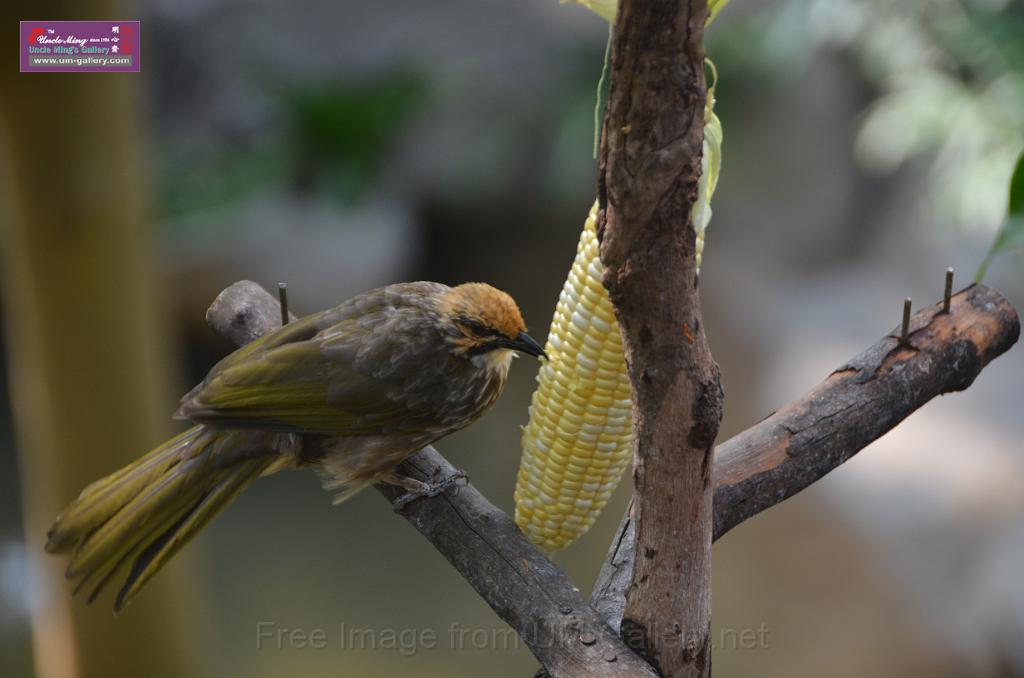 20150426jw-hk-park_DSC_0743.JPG