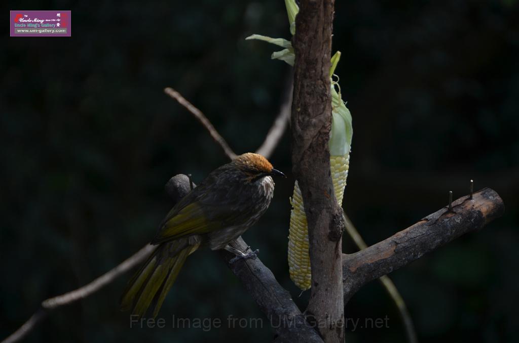 20150426jw-hk-park_DSC_0769.JPG