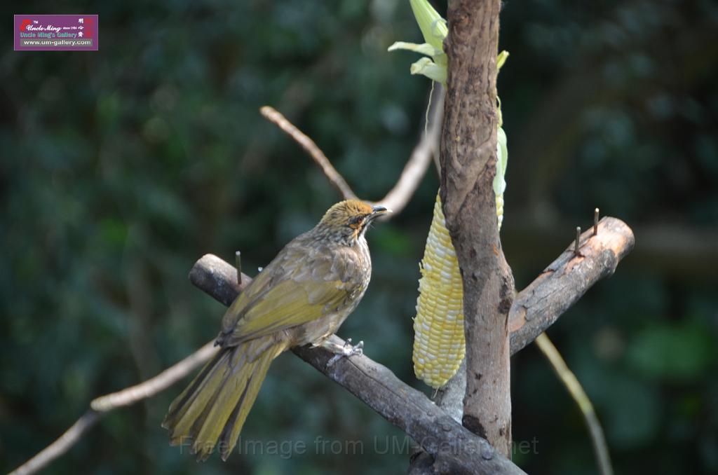 20150426jw-hk-park_DSC_0771.JPG