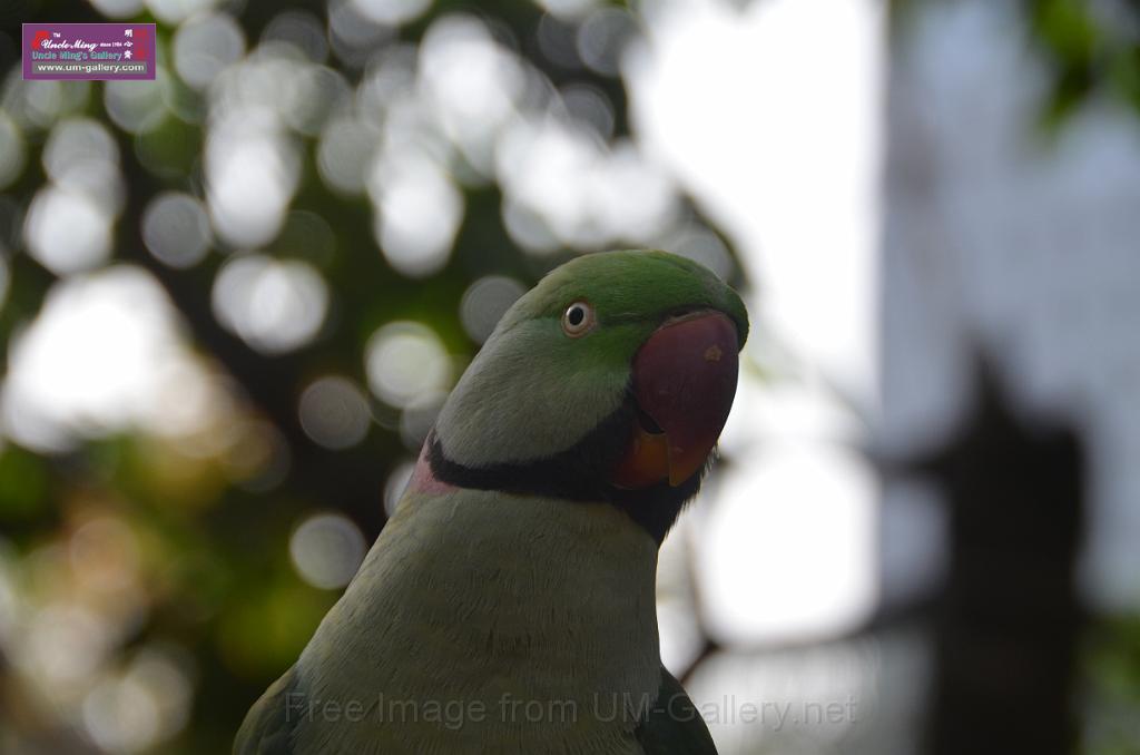 20150426jw-hk-park_DSC_0804.JPG