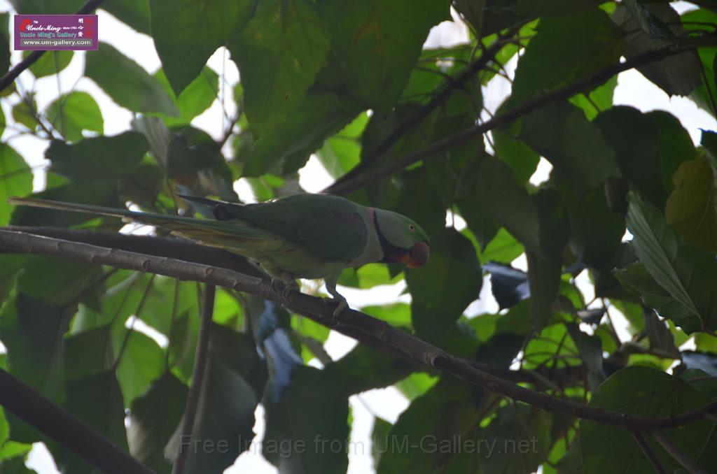 20150426jw-hk-park_DSC_0835.JPG