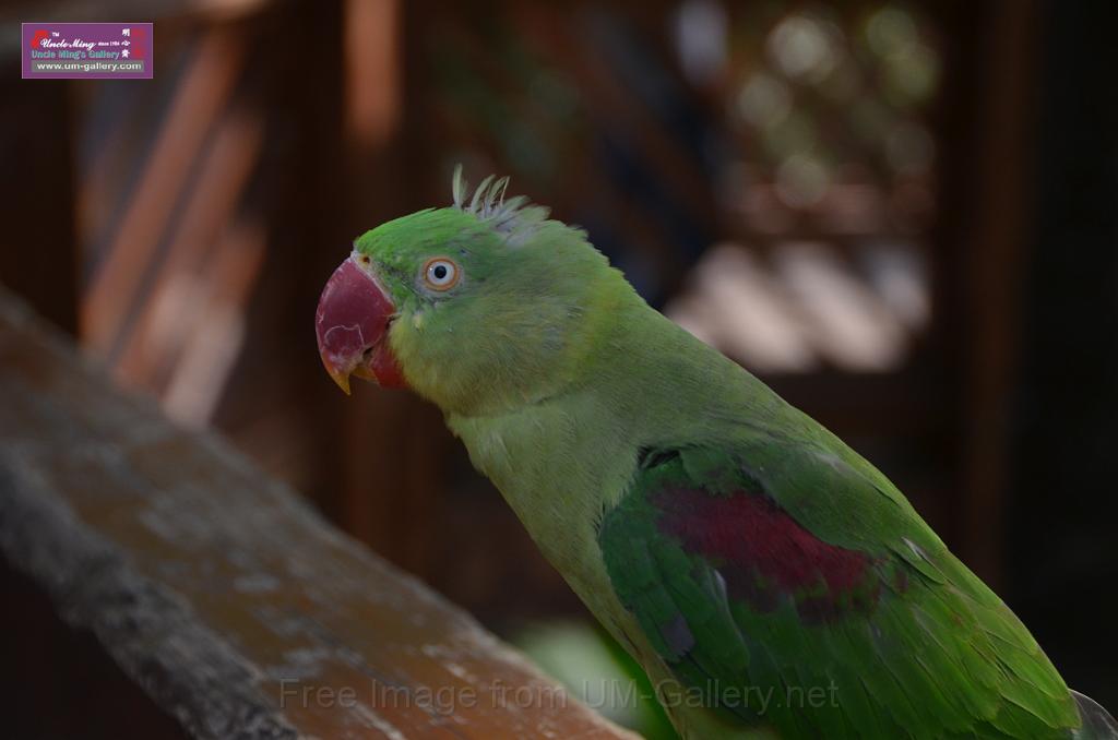 20150426jw-hk-park_DSC_0870.JPG