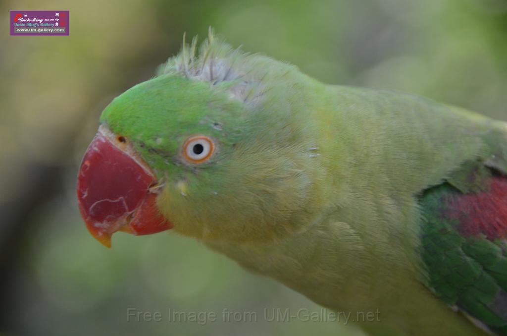 20150426jw-hk-park_DSC_0882.JPG