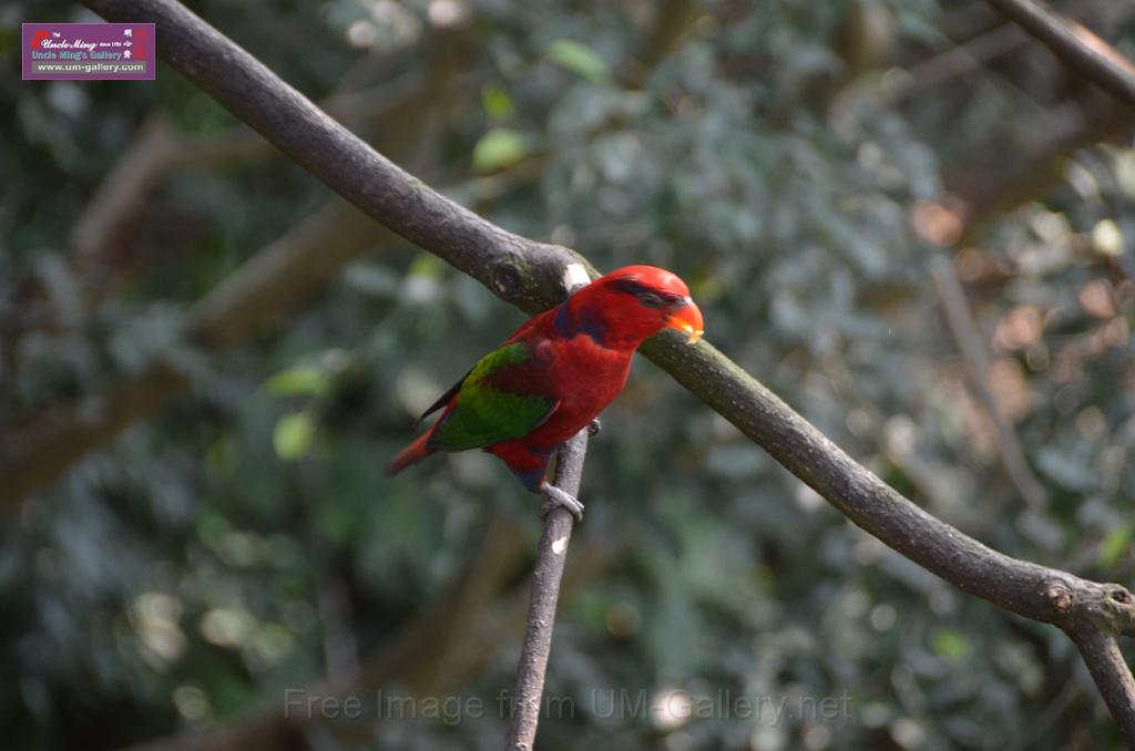 20150426jw-hk-park_DSC_0884.JPG