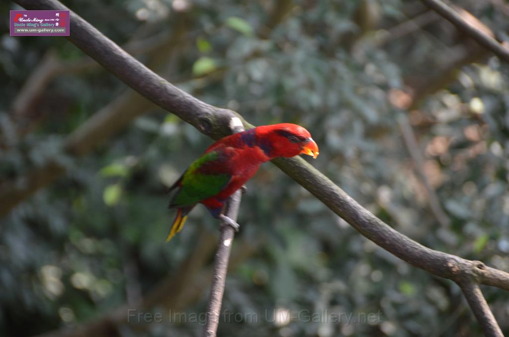 20150426jw-hk-park_DSC_0885.JPG