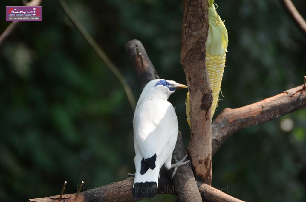 20150426jw-hk-park_DSC_0894.JPG