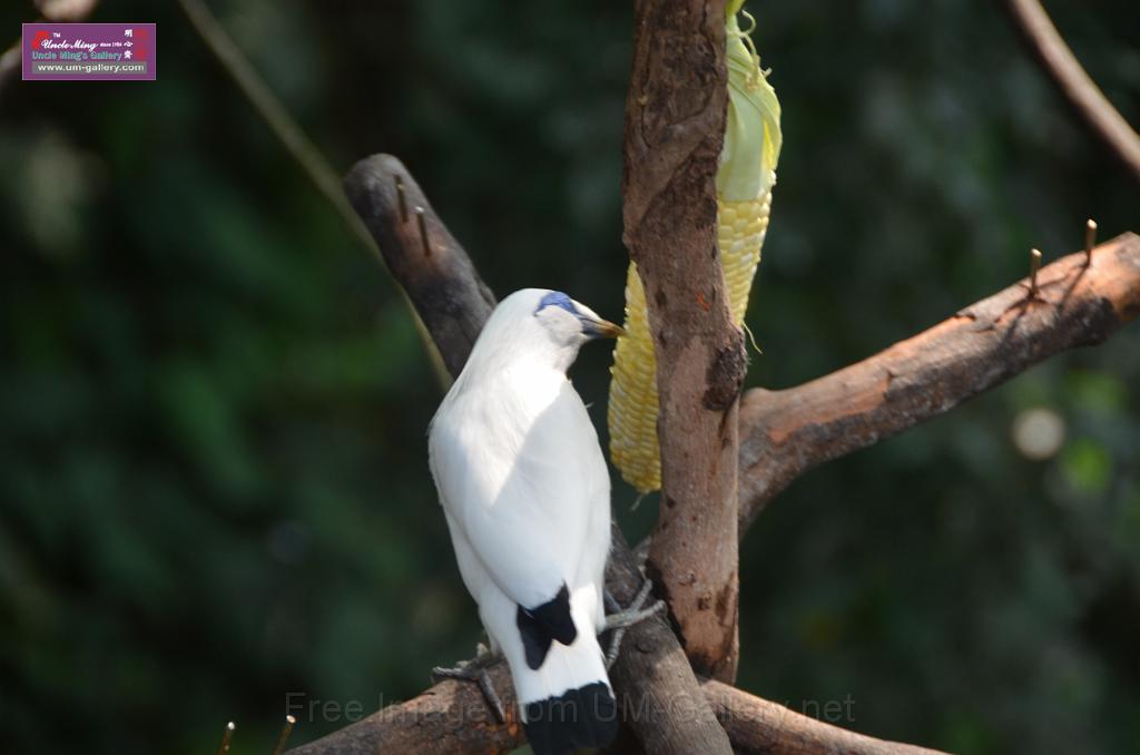 20150426jw-hk-park_DSC_0895.JPG