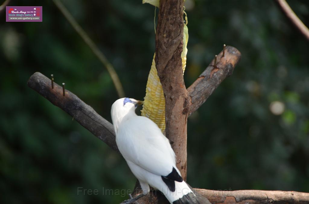 20150426jw-hk-park_DSC_0896.JPG