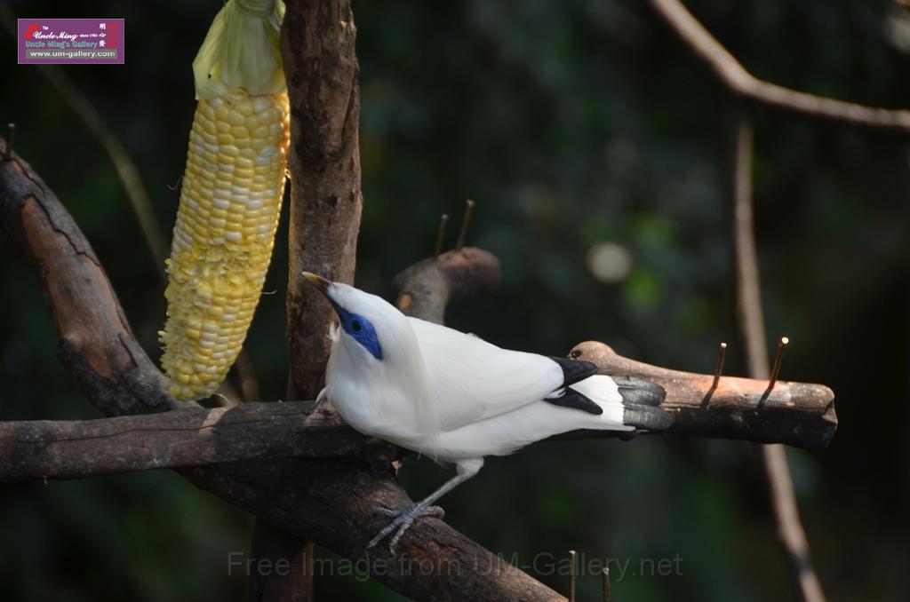 20150426jw-hk-park_DSC_0898.JPG