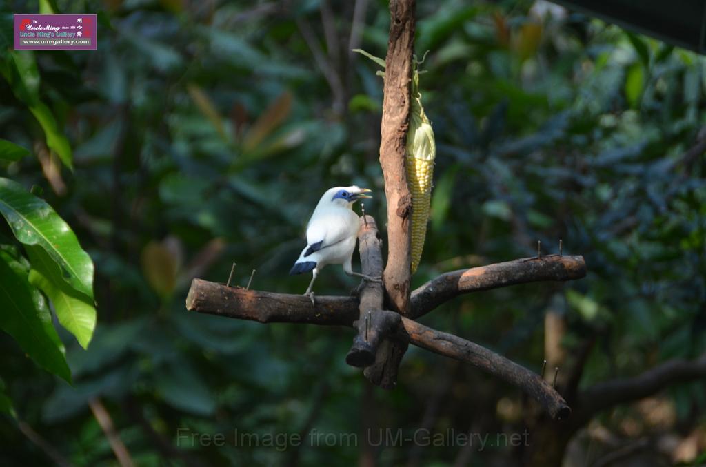 20150426jw-hk-park_DSC_0958.JPG