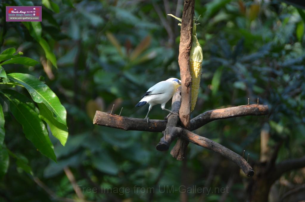 20150426jw-hk-park_DSC_0959.JPG