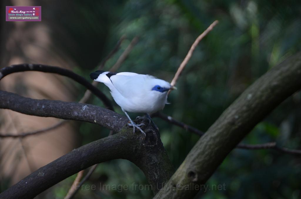 20150426jw-hk-park_DSC_0964.JPG