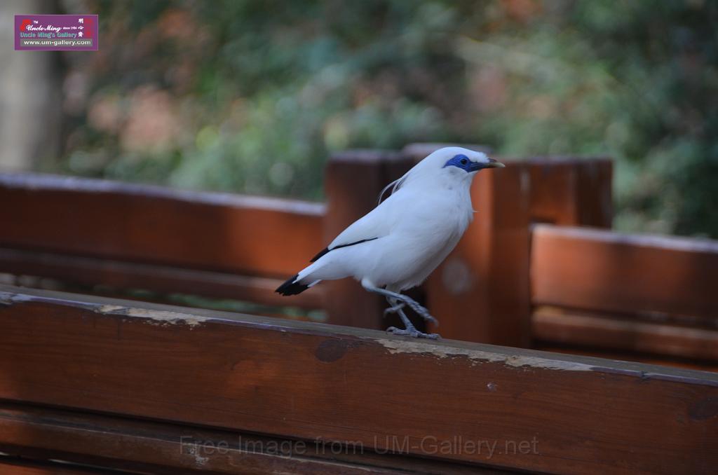 20150426jw-hk-park_DSC_0967.JPG