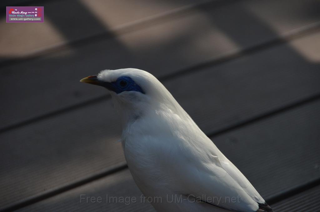 20150426jw-hk-park_DSC_0974.JPG