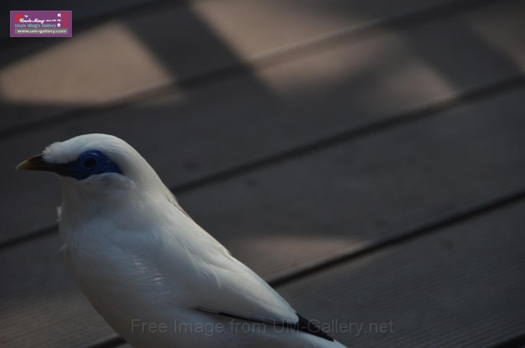 20150426jw-hk-park_DSC_0975.JPG