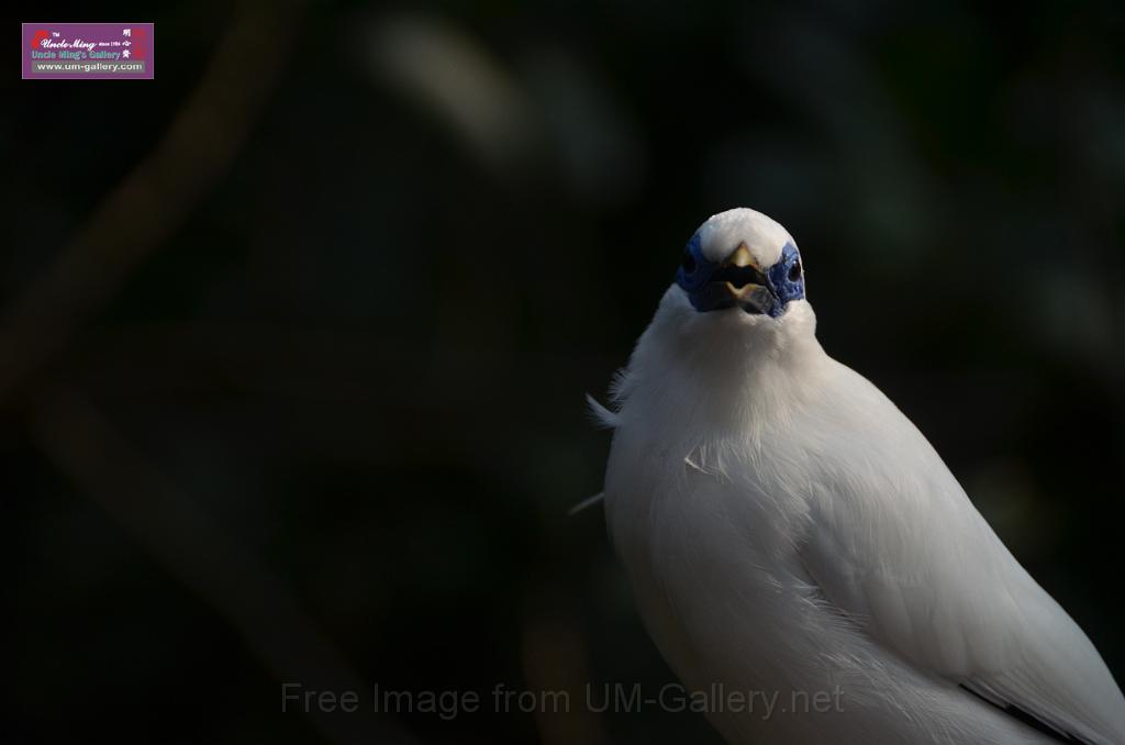 20150426jw-hk-park_DSC_0977.JPG