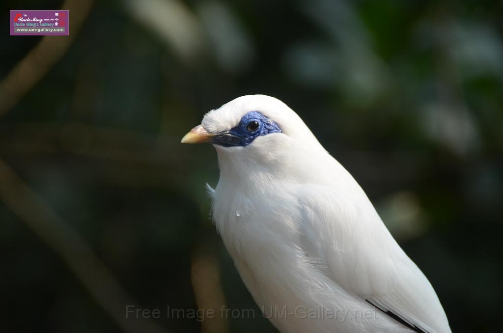 20150426jw-hk-park_DSC_0979.JPG