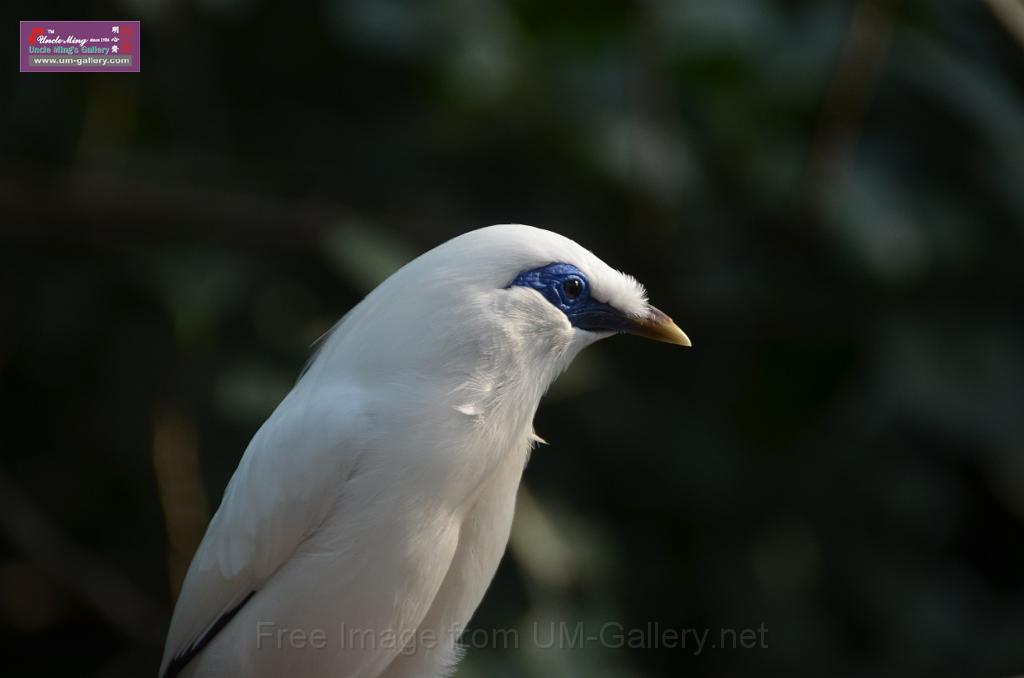 20150426jw-hk-park_DSC_0984.JPG