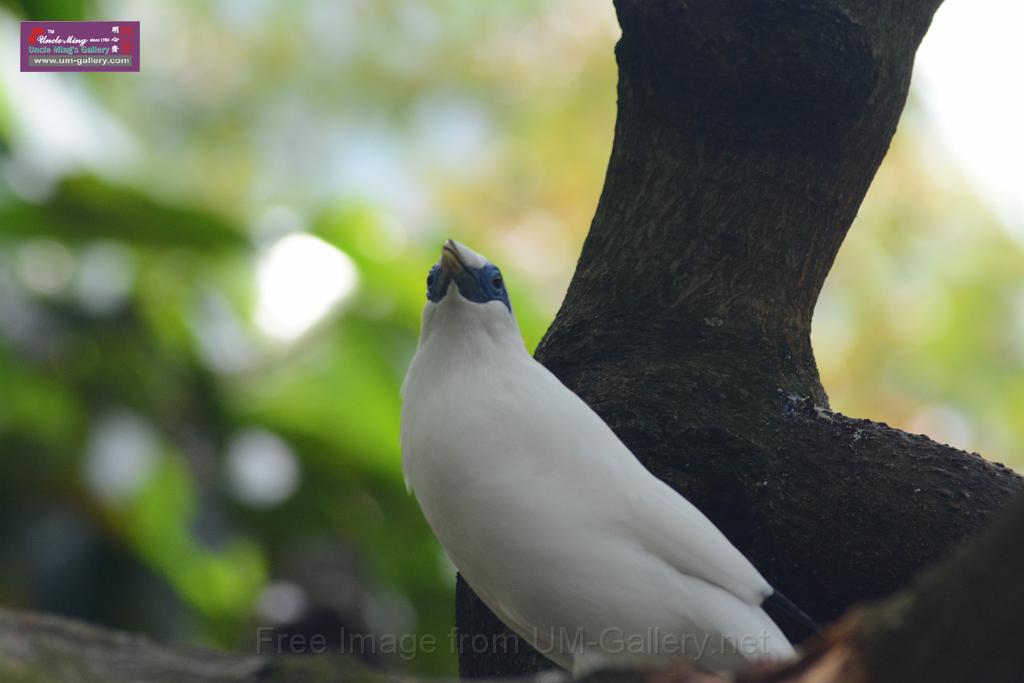 20150503sm_hk-park_DSC_2327.JPG