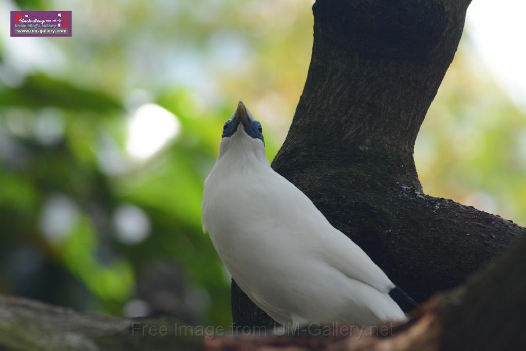 20150503sm_hk-park_DSC_2328.JPG