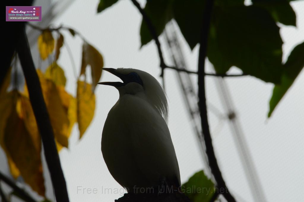 20150503sm_hk-park_DSC_2336.JPG