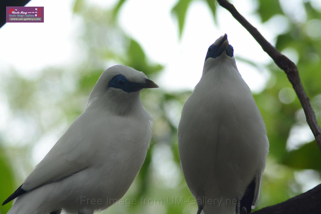 20150503sm_hk-park_DSC_2357.JPG