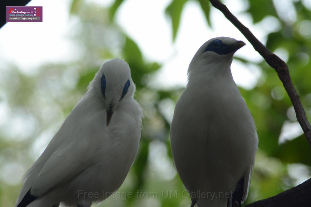 20150503sm_hk-park_DSC_2358.JPG