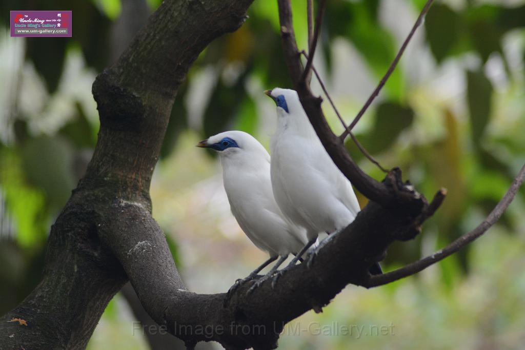 20150503sm_hk-park_DSC_2390.JPG