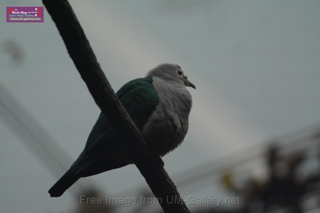 20180222hkpark_DSC_0864.JPG