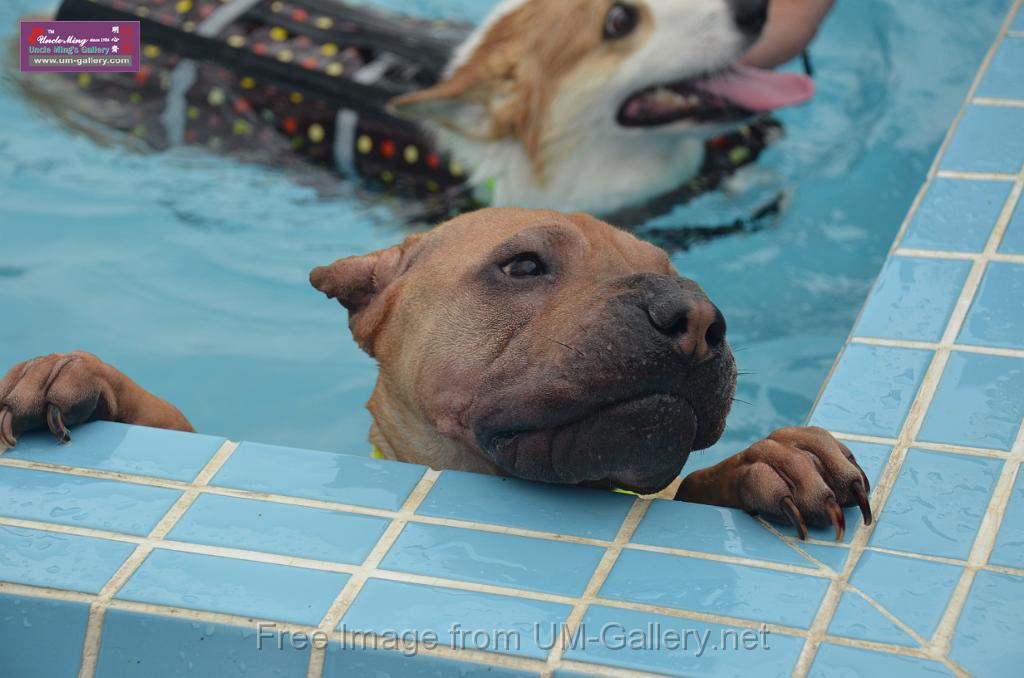 20110529saikung_DSC_0027.JPG