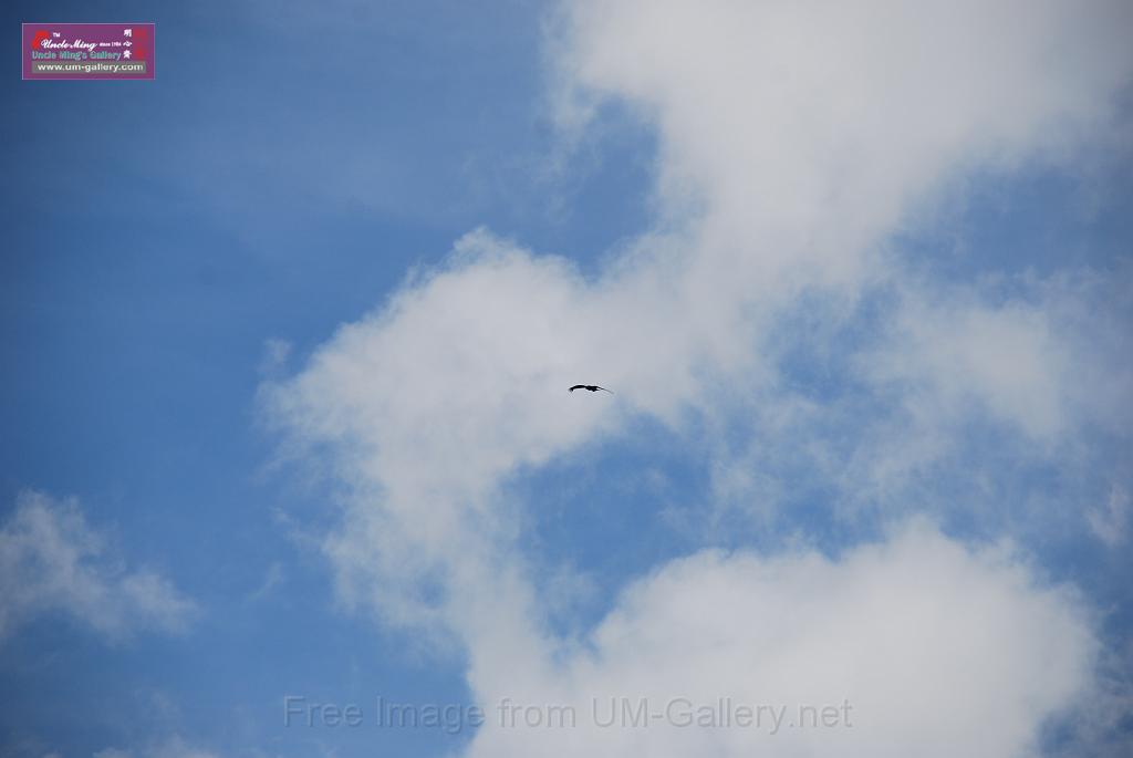 20130701jw-pla-military-base-openday_DSC_8478.JPG