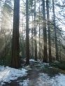 09jan_sm_vancouver_P1020147