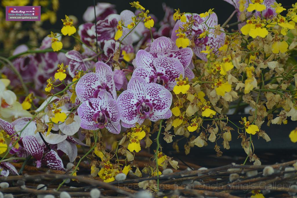 20150328sm-floral-exhibition_DSC_1778.JPG