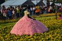 20150328sm-floral-exhibition_DSC_2020