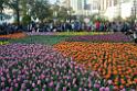 20150328sm-floral-exhibition_DSC_2029