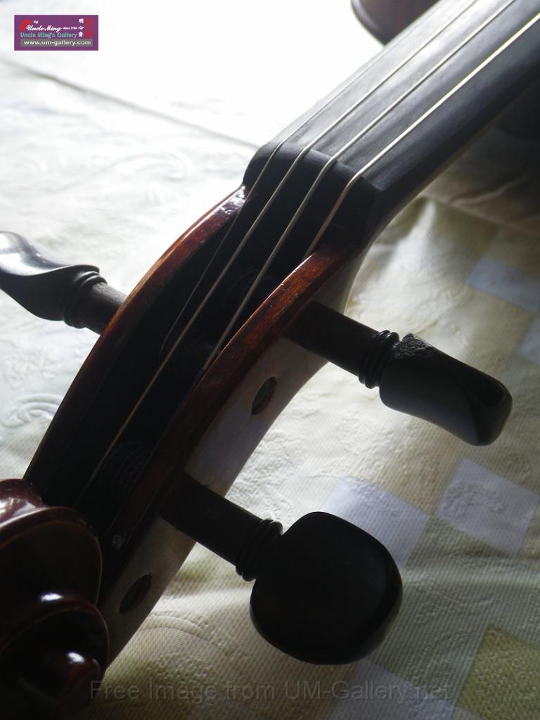 20131222musci_instrument-IMGP0595.JPG