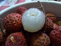 20130621fruit-laichee_P1130282