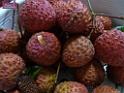 20130621fruit-laichee_P1130280